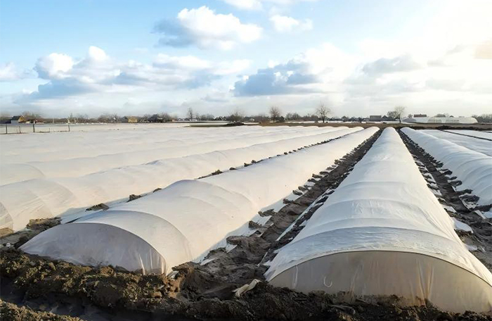 Membrana agr&iacute;cola resistente ao frio e filme para embrulhar alimentos